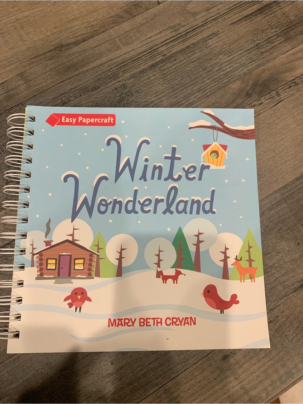 Winter Easy Papercraft Winter Wonderland by Mary Beth Cryan - Blue Cover